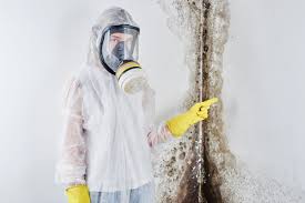 Best Environmental Consulting for Mold Prevention  in West Newton, PA